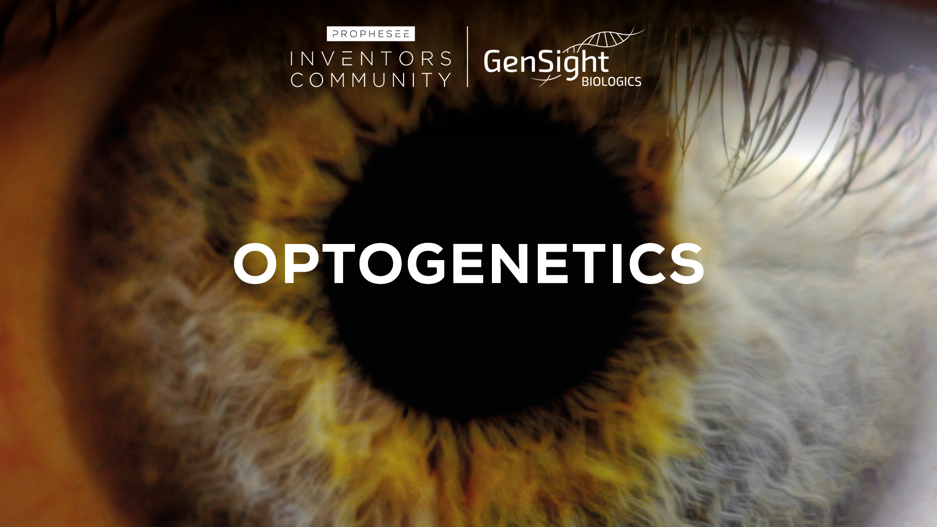 Optogenetics Optogenetics
