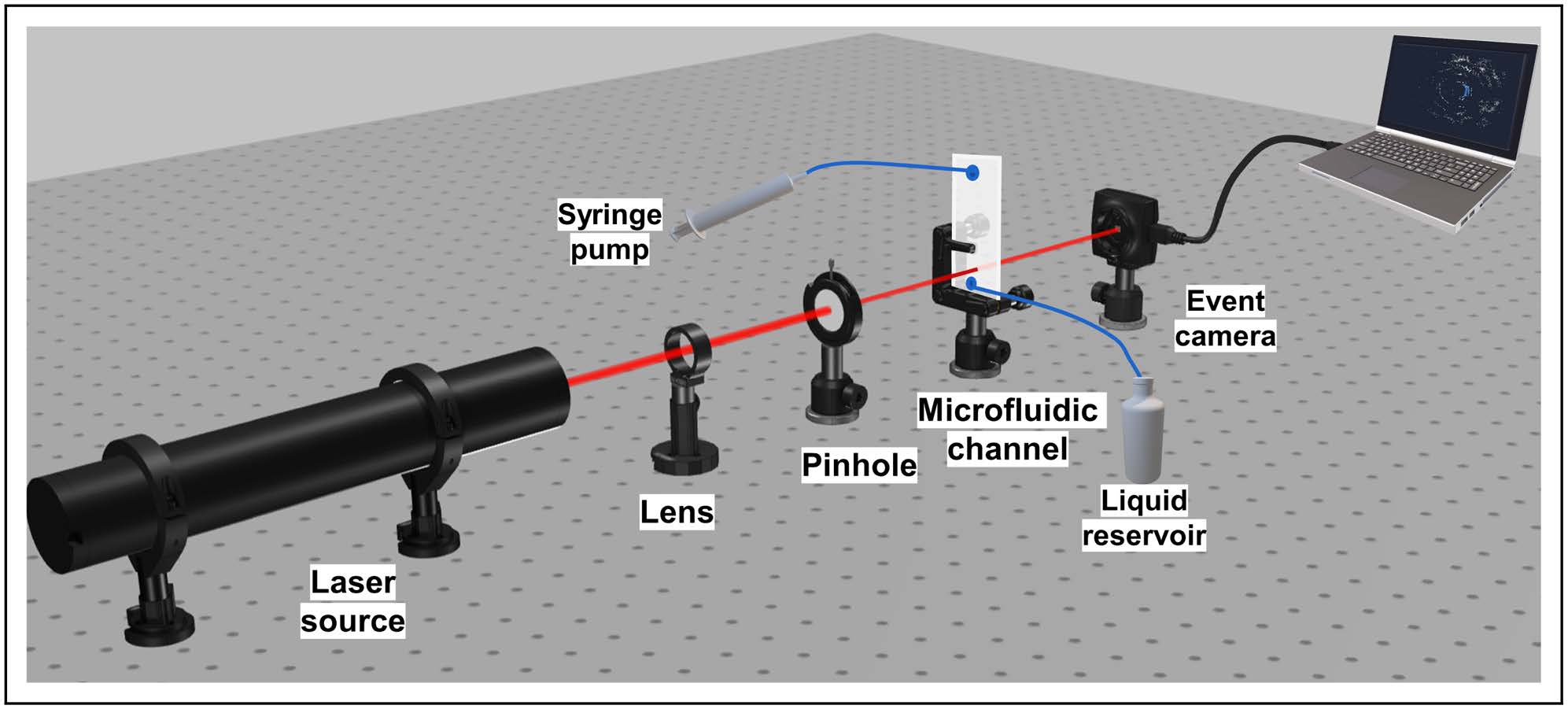 Experimental Setup